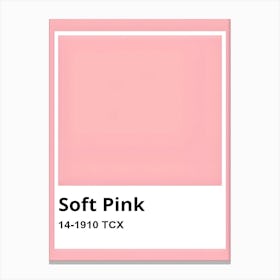 Soft Pink Canvas Print