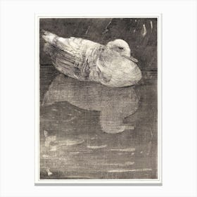 Floating Duck (1878–1909), Theo Van Hoytema Canvas Print