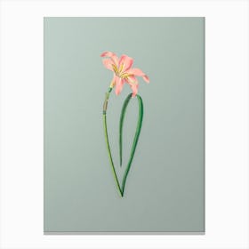 Vintage Spofforth Zephyranthes Branch Botanical Art on Mint Green n.0737 Canvas Print