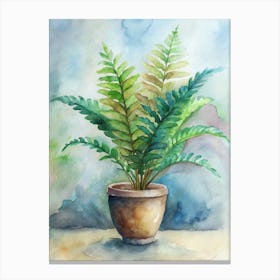 Fern In A Pot 2 Canvas Print