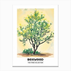 Boxwood Tree Storybook Illustration 1 Poster Canvas Print