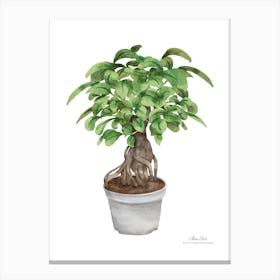 Watercolor Bonsai Tree.A fine artistic print that decorates the place. 1 Canvas Print