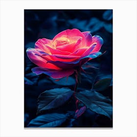 Pink Rose Wallpaper 2 Canvas Print