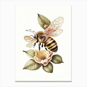 Honeybee And Flower 3 Vintage Canvas Print