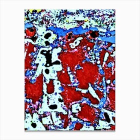 Red And Blue Painting Canvas Print