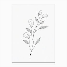 Simple Drawing Of A Flower Canvas Print