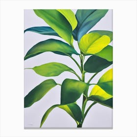 Split Leaf Philodendron Bold Graphic Plant Canvas Print