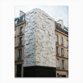 Paris Book Wall Canvas Print