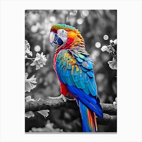 Colorful Parrot Canvas Print