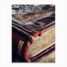 Old Books 5 Canvas Print