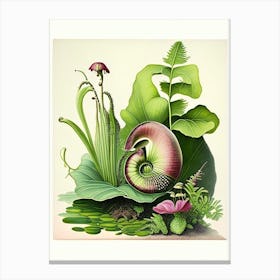 Pond Snail  Botanical Canvas Print