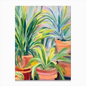Spider Plant 3 Impressionist Painting Canvas Print