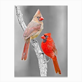 Two Cardinals Canvas Print