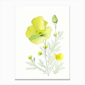 Buttercup Floral Quentin Blake Inspired Illustration 3 Flower Canvas Print