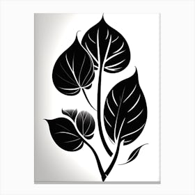Black And White Leaves Canvas Print