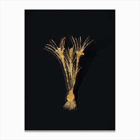 Vintage Cloth of Gold Crocus Botanical in Gold on Black n.0203 Canvas Print