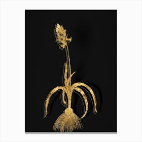 Vintage Common Bluebell Botanical in Gold on Black n.0176 Canvas Print