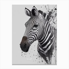 Zebra Watercolor Canvas Print