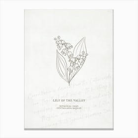 Lily Of The Valley Birth Flower | Antique Canvas Print