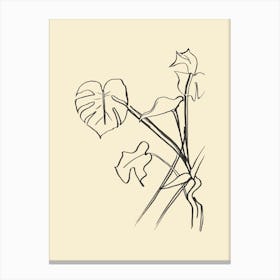 Monstera Swiss Cheese Plant Drawing Canvas Print