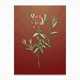 Vintage Bog Laurel Bloom Botanical on Falu Red Pattern n.1664 Canvas Print