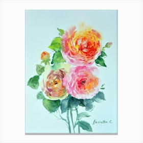 Ranunculus Canvas Print