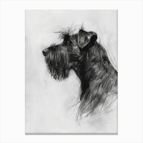 Briard Dog Charcoal Line 3 Canvas Print