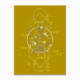 Vintage Yellow Broom Flowers Botanical with Geometric Line Motif and Dot Pattern n.0083 Canvas Print