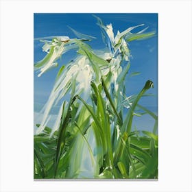 White Daffodils Canvas Print