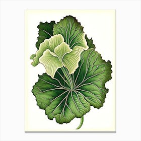 Primrose Leaf Vintage Botanical 3 Canvas Print