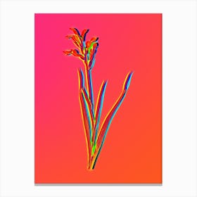 Neon Gladiolus Cunonius Botanical in Hot Pink and Electric Blue n.0466 Canvas Print