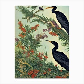 Cormorant 2 Haeckel Style Vintage Illustration Bird Canvas Print