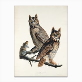 Great Horned Owl, Birds Of America, John James Audubon Canvas Print