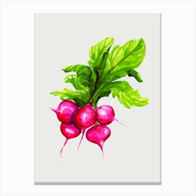 Radishes Canvas Print