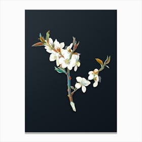 Vintage Almond Tree Flower Botanical Watercolor Illustration on Dark Teal Blue Canvas Print
