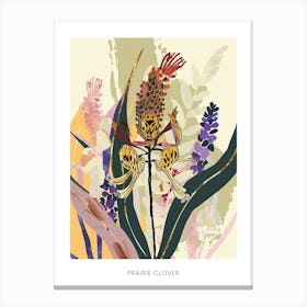 Colourful Flower Illustration Poster Prairie Clover 1 Canvas Print