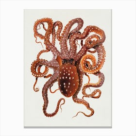 Vintage Octopus Canvas Print