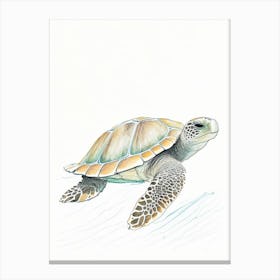 Flatback Sea Turtle (Natator Depressus), Sea Turtle Pencil Illustration 1 Canvas Print
