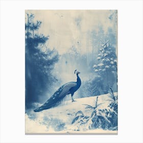 Cyanotype Inspired Peacock Snow Scene 1 Canvas Print