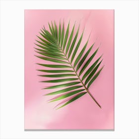 Palm Leaf On Pink Background 1 Canvas Print