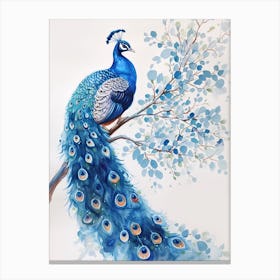 Watercolour Peacock On The Tree Branch 2 Canvas Print