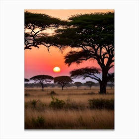 Sunset In The Savannah Canvas Print