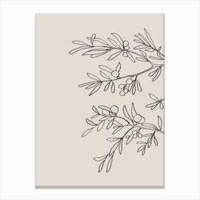 Mid Summer Olive Branch 02 Canvas Print