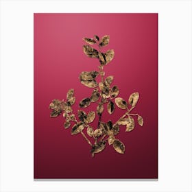 Gold Botanical Italian Buckthorn on Viva Magenta n.1503 Canvas Print