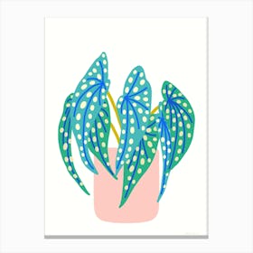 Spotted Begonia Blue Canvas Print