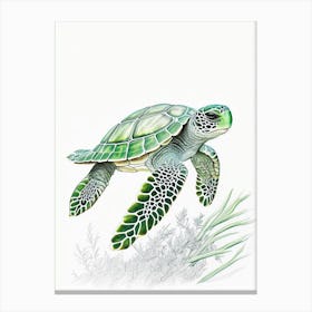 Green Sea Turtle (Chelonia Mydas), Sea Turtle Quentin Blake Illustration 1 Canvas Print