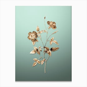 Gold Botanical Indica Stelligera Rose on Mint Green Canvas Print