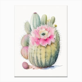 Pincushion Cactus Pastel Watercolour Canvas Print