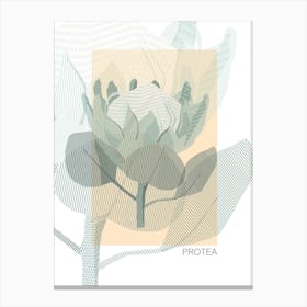 Protea Canvas Print