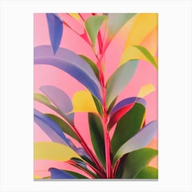 Ponytail Palm Colourful Illustration Plant Canvas Print